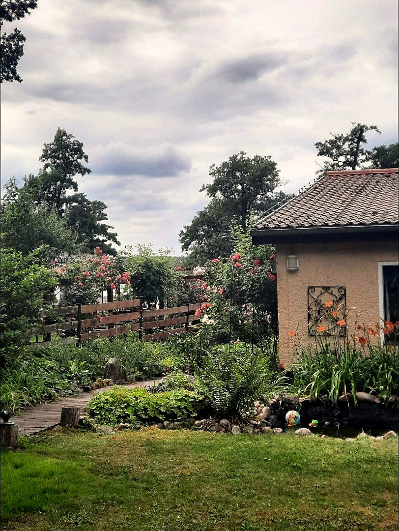 Garten mit blühenden Rosen und Teich