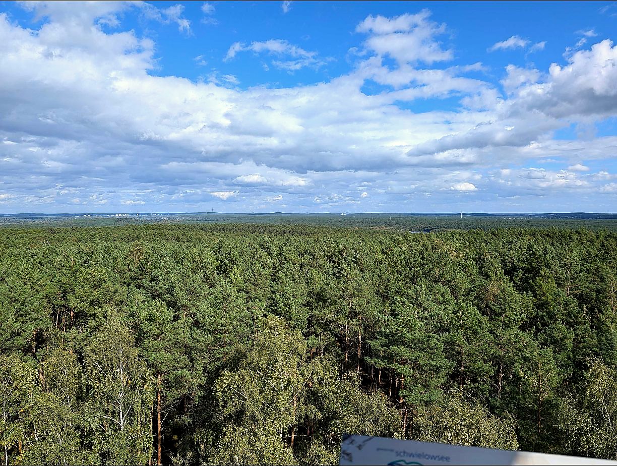 Weiter Panoramablick vom Wietkiekenberg über den Kiefernwald