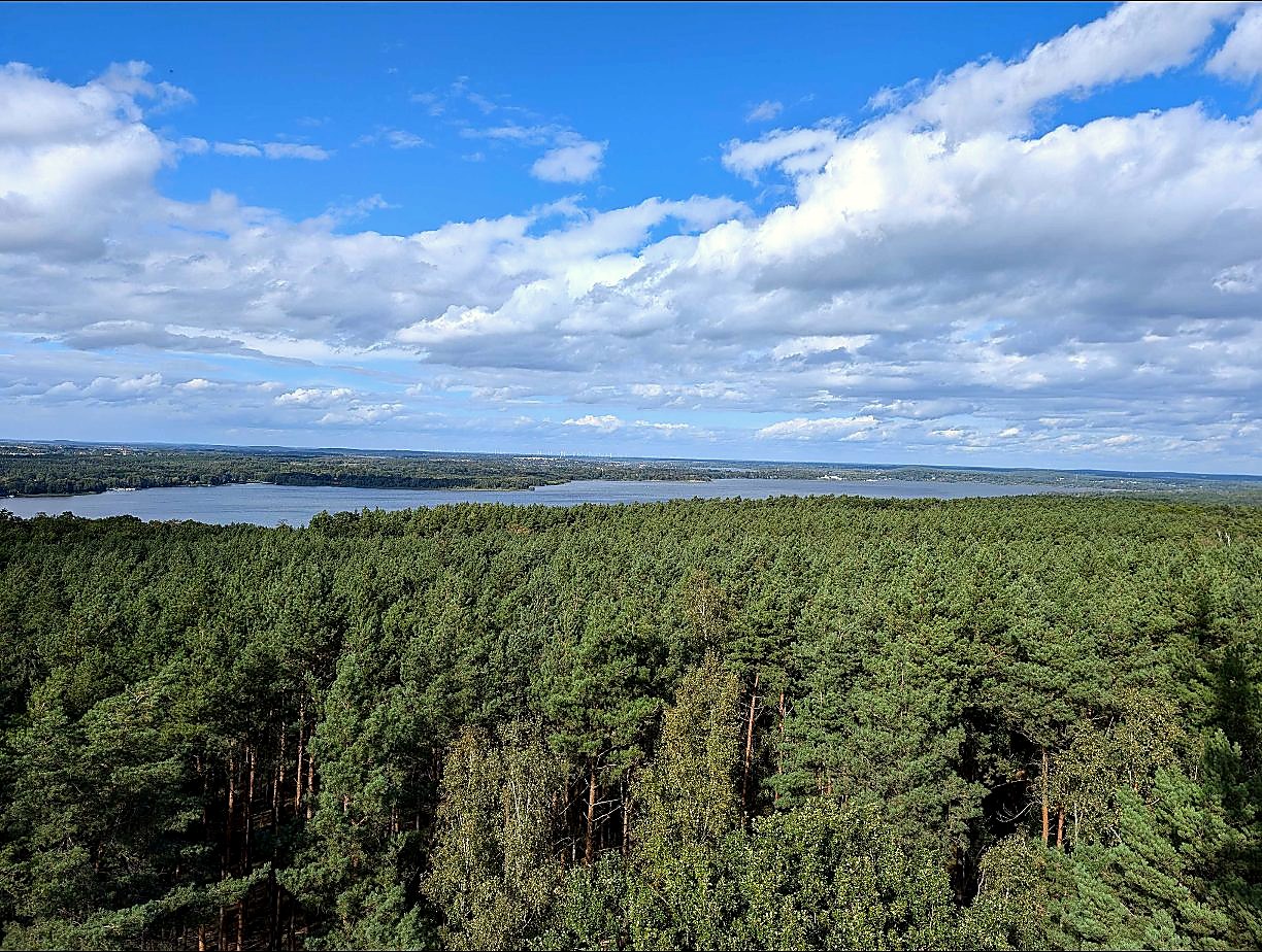 Blick vom Wietkiekenberg über den Wald bis zum Schwielowsee